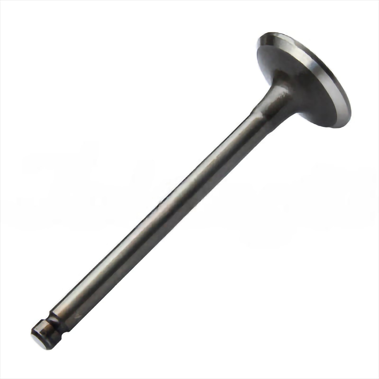 EXHAUST VALVE