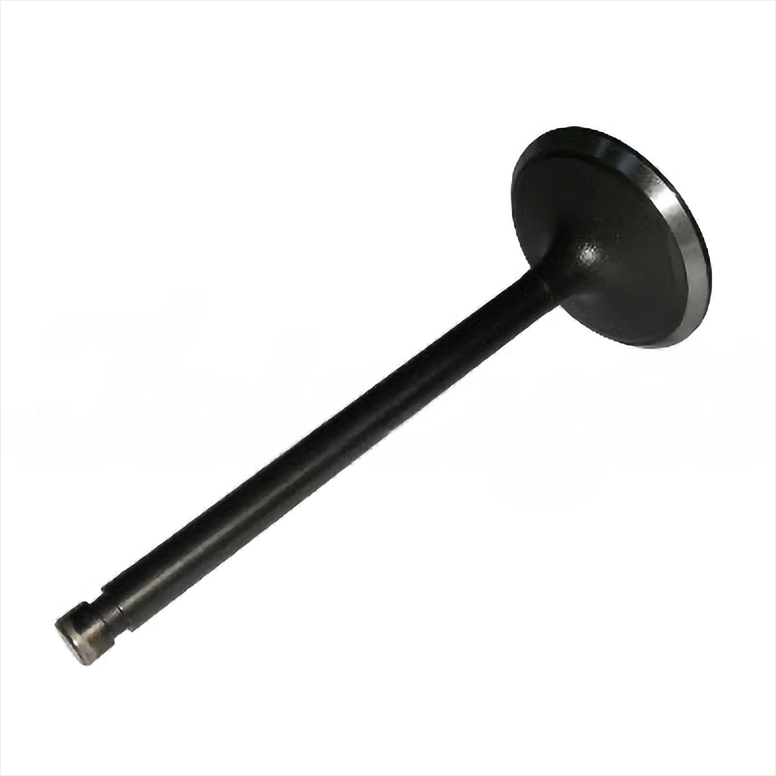 Intake Valve - Intake & Exhaust Valves | 13201-03J10