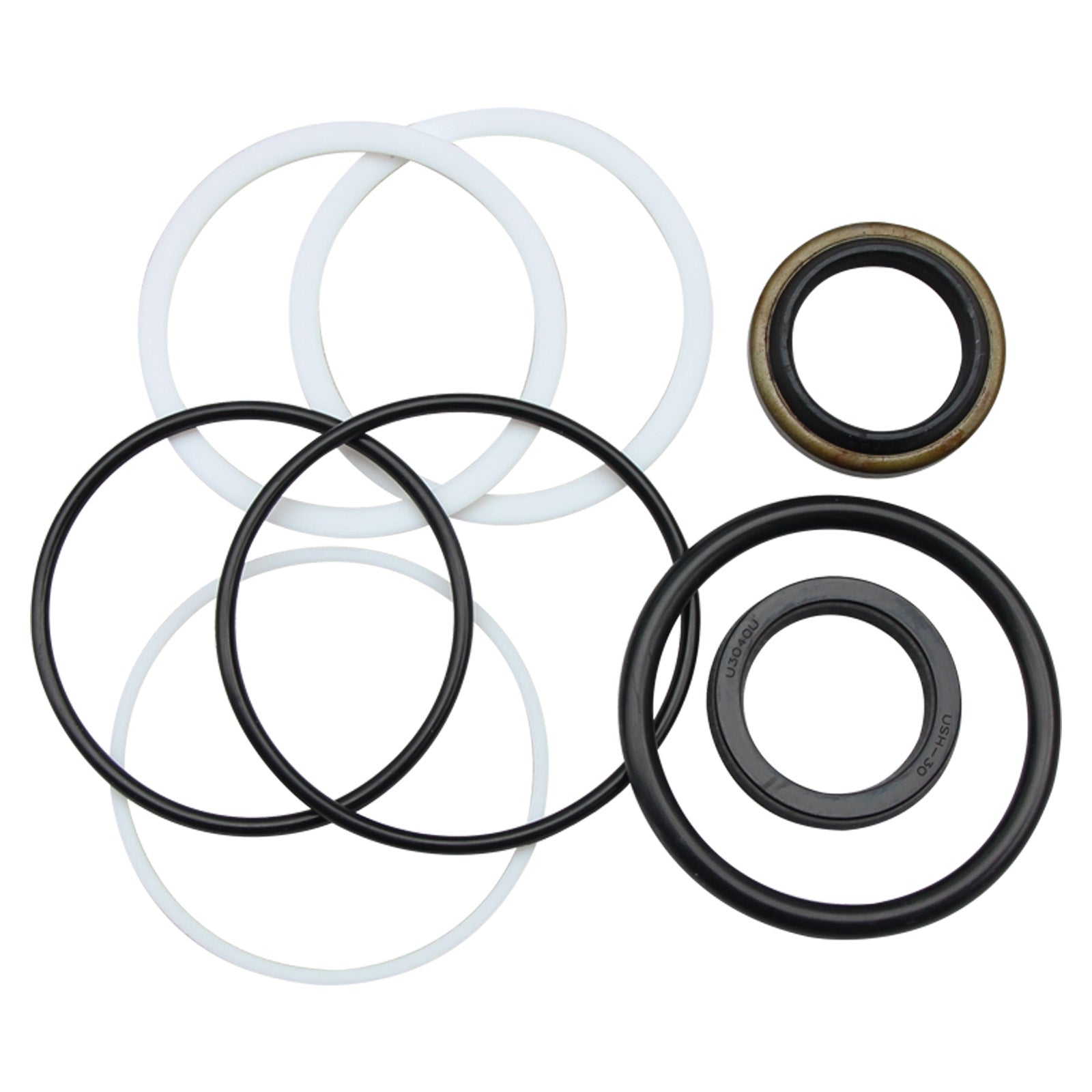 Tilt Cylinder Seal Kit 58699-FK010 for Nissan Forklift 1B2, L02, 1F2