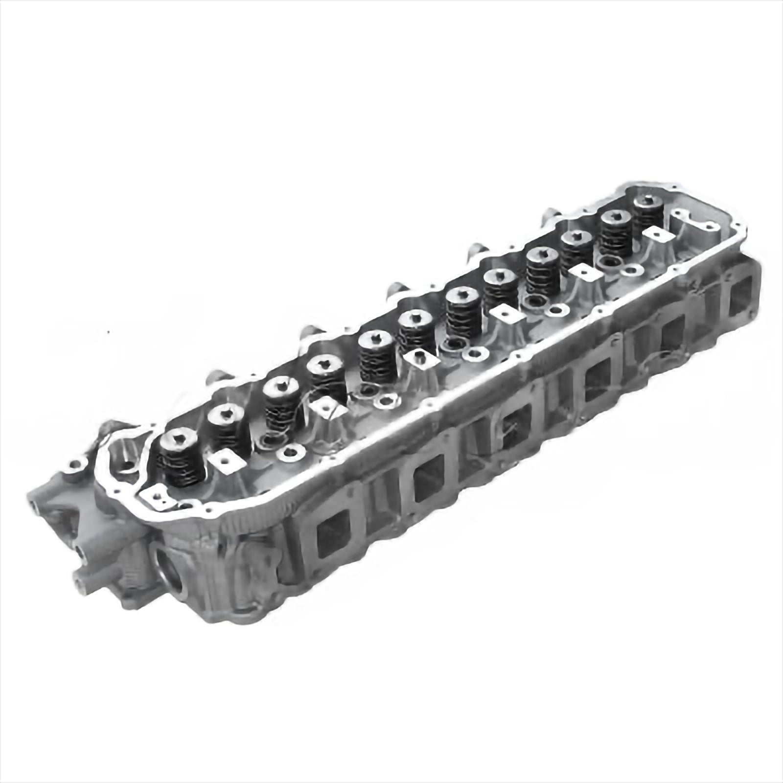 Cylinder Head Assy - Cylinder Heads | 11041-FZ000