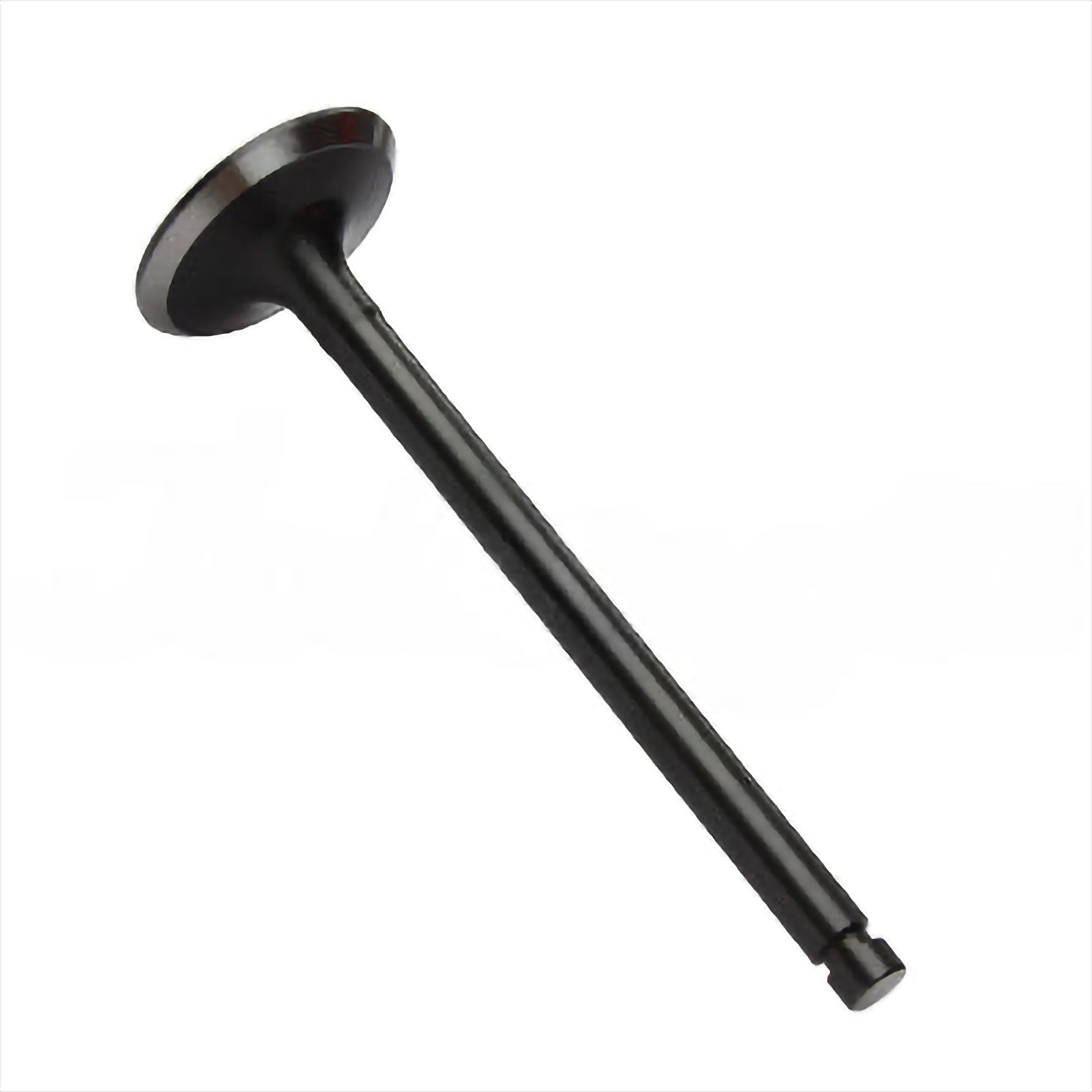 Exhaust Valve - Intake & Exhaust Valves | ME031939