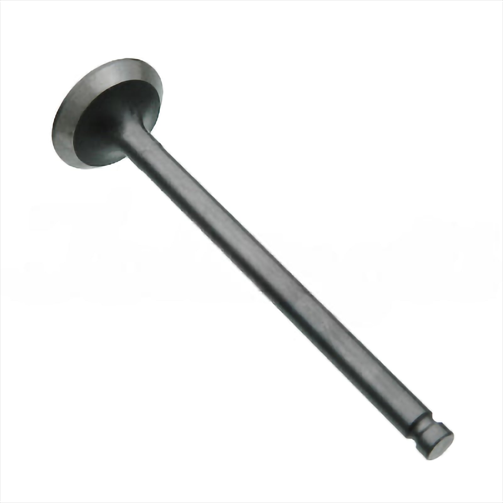 Exhaust Valve - Intake & Exhaust Valves | AG-31A04-20200