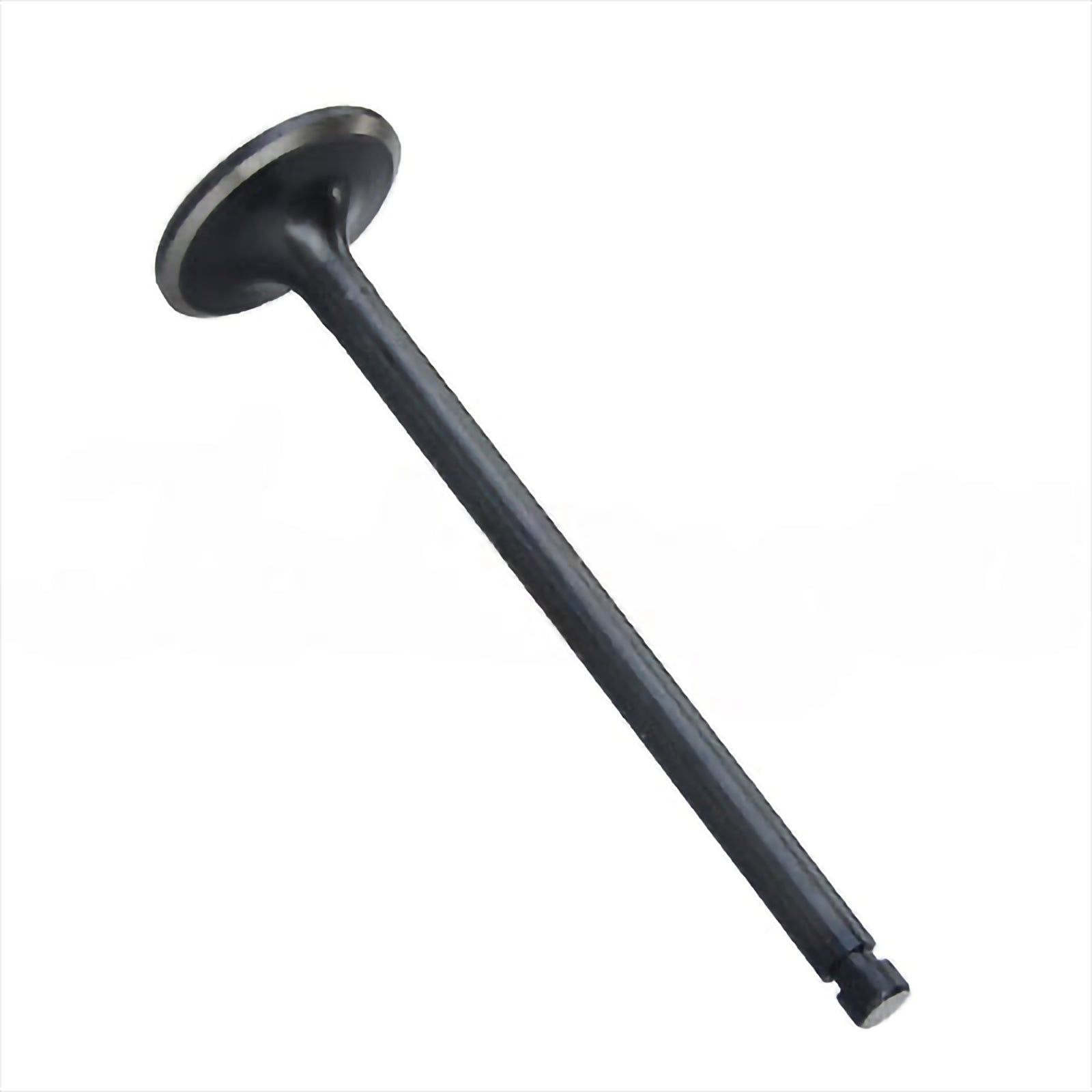Exhaust Valve - Intake & Exhaust Valves |