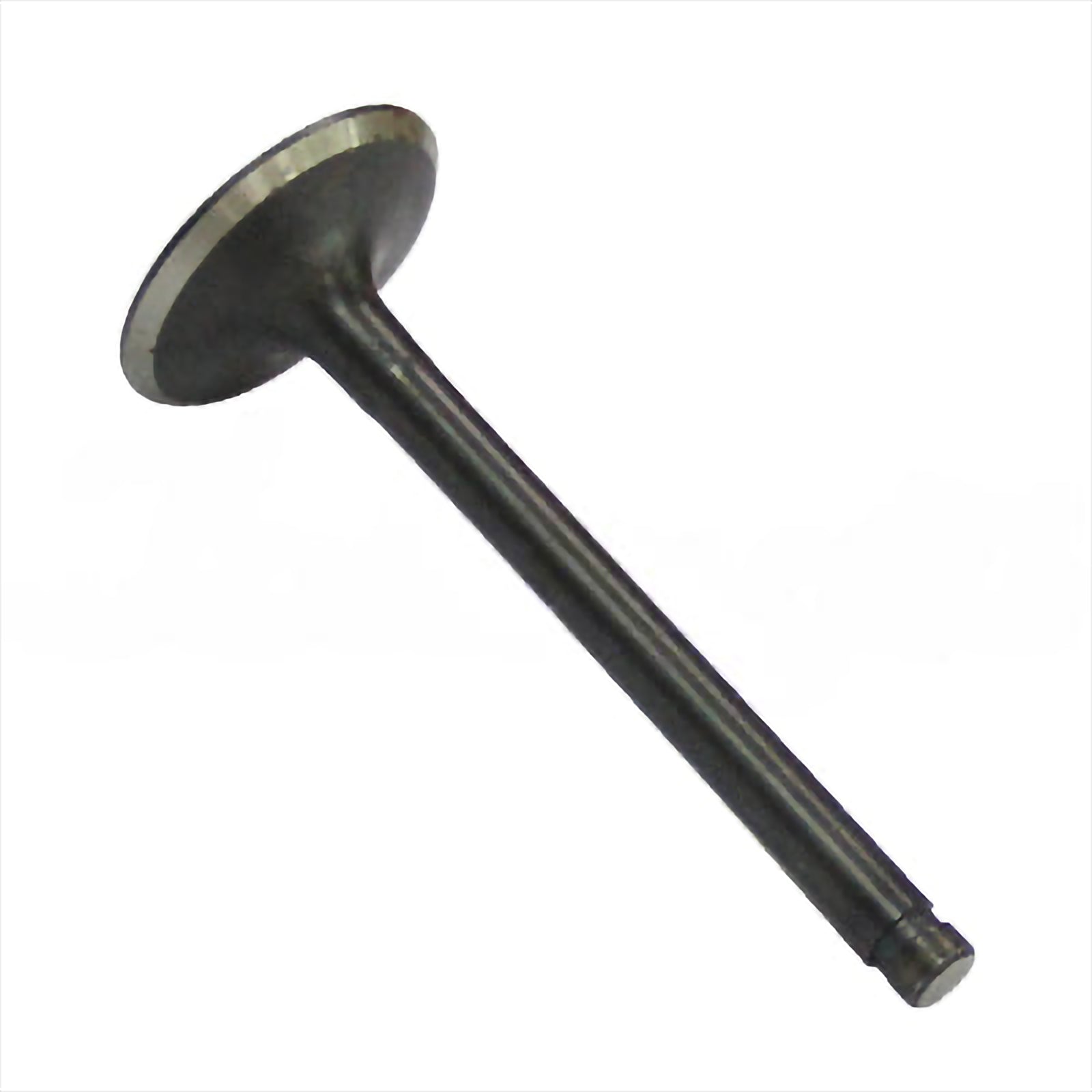 Intake Valve - Intake & Exhaust Valves