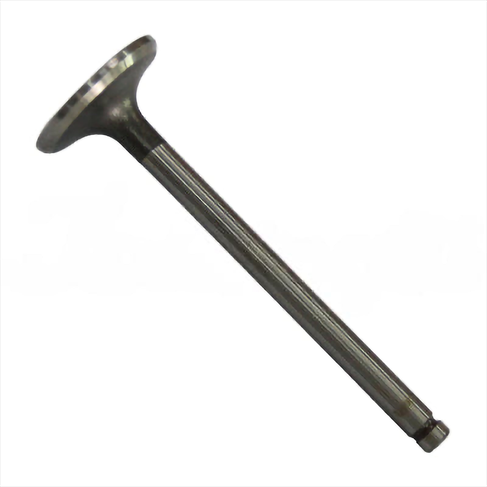 Intake Valve - Intake & Exhaust Valves