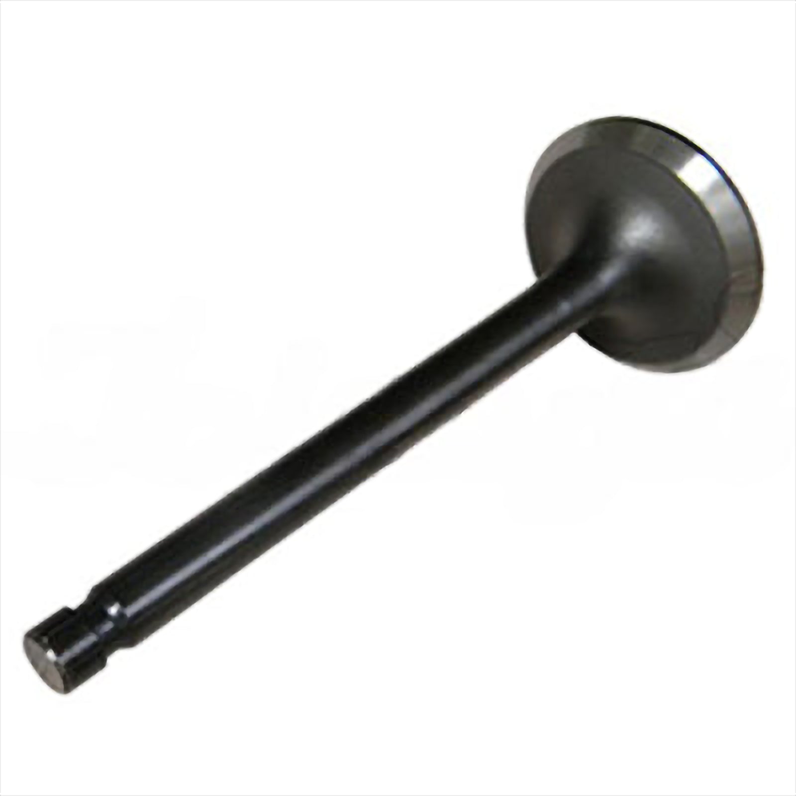 Intake Valve - Intake & Exhaust Valves | 13711-76002-71