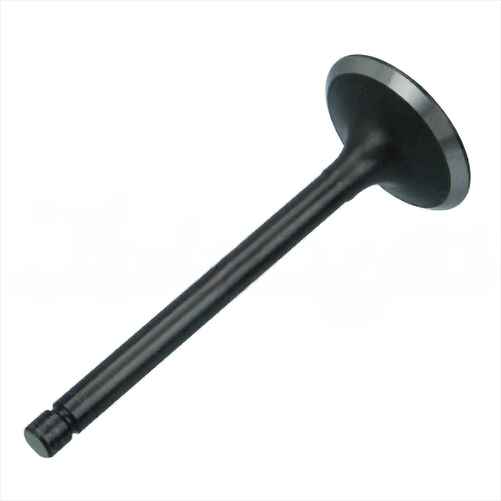 Intake Valve - Intake & Exhaust Valves | 13711-76012-71