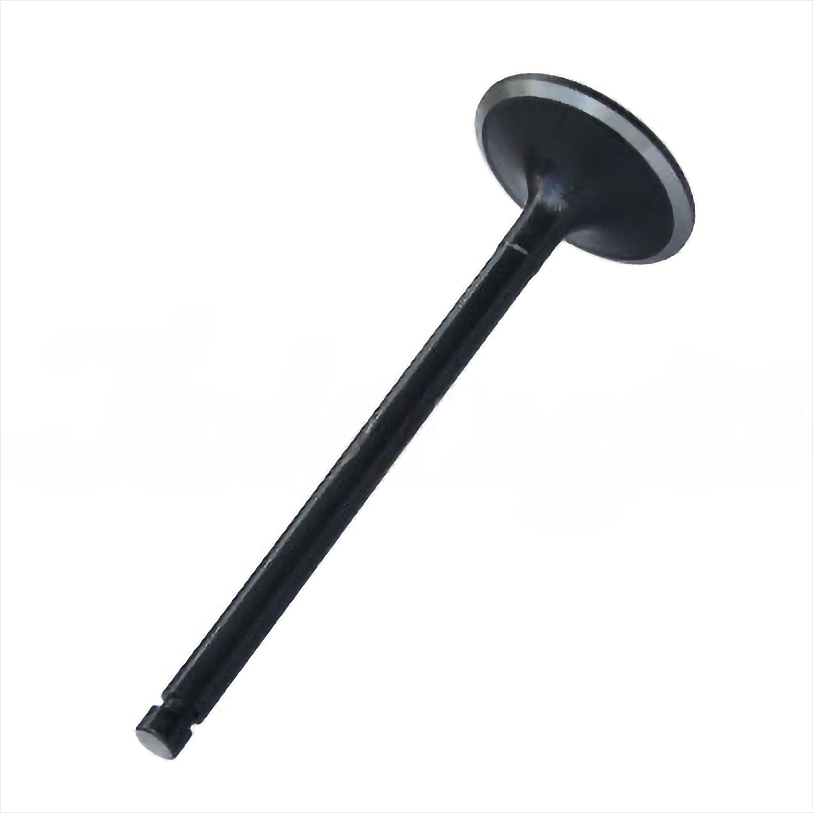 Intake Valve - Intake & Exhaust Valves