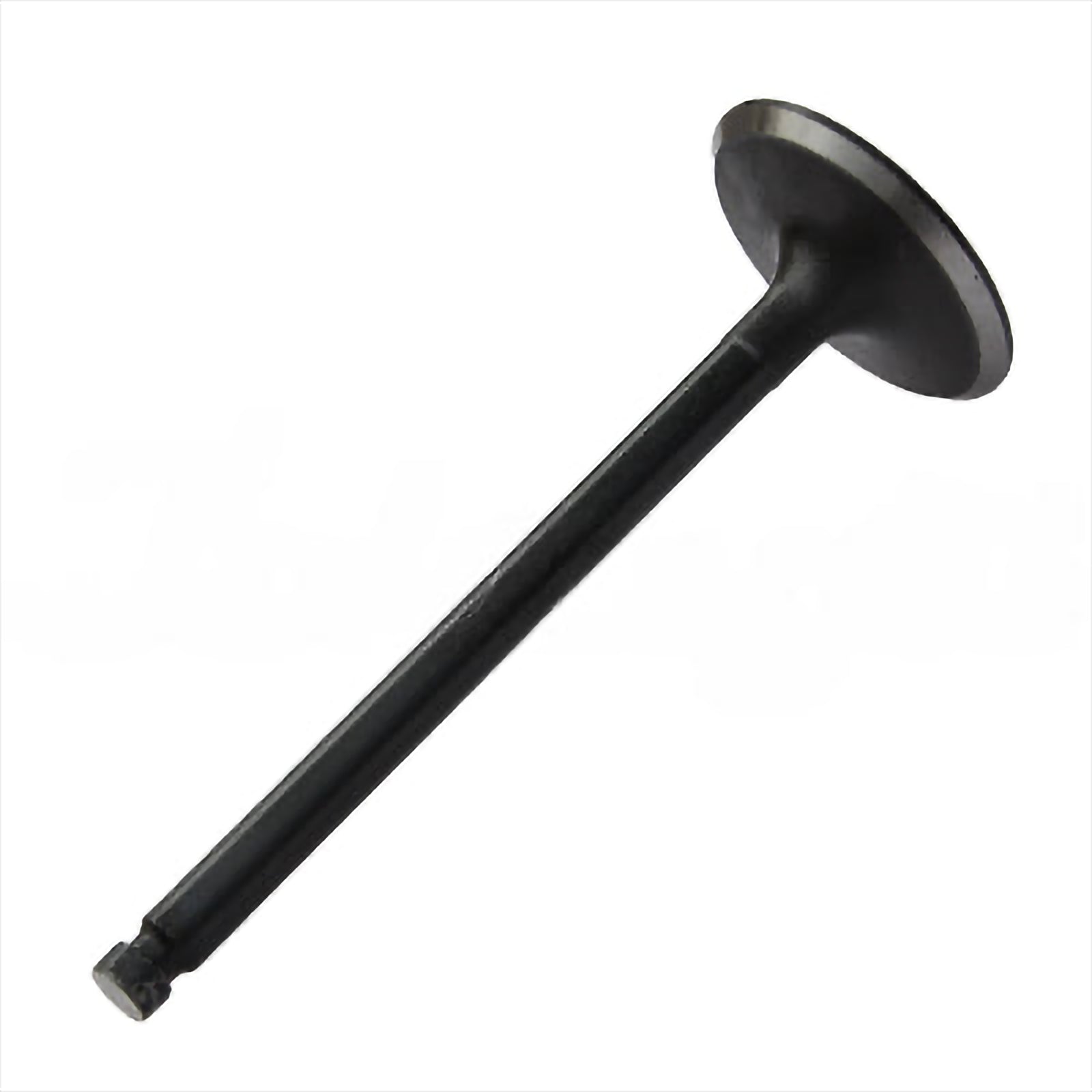 Intake Valve - Intake & Exhaust Valves | ME031937
