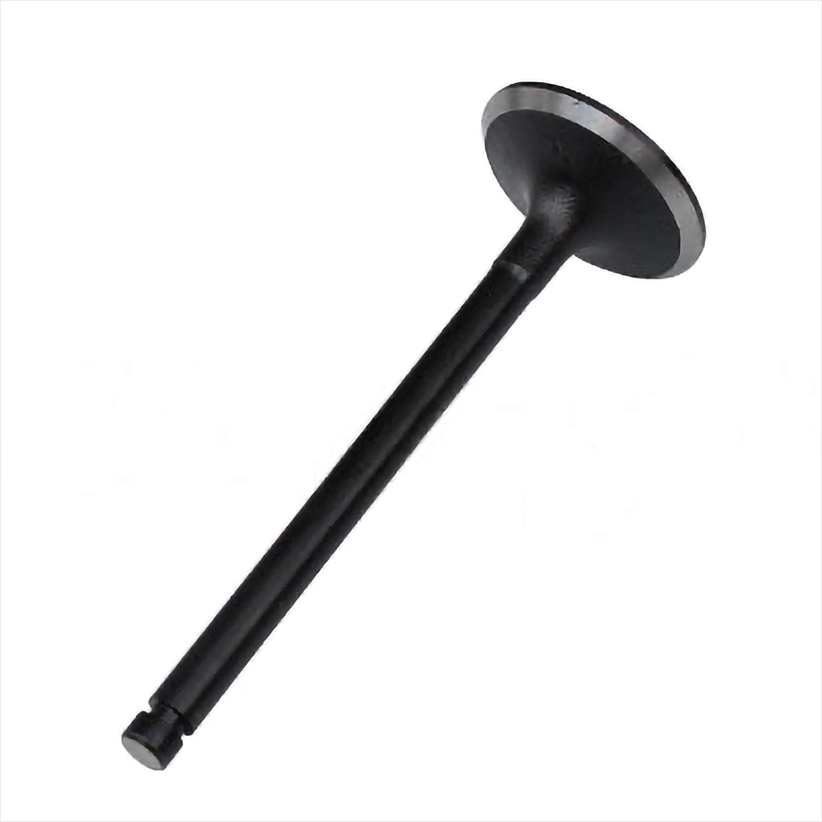 Intake Valve - Intake & Exhaust Valves | 32C04-00100
