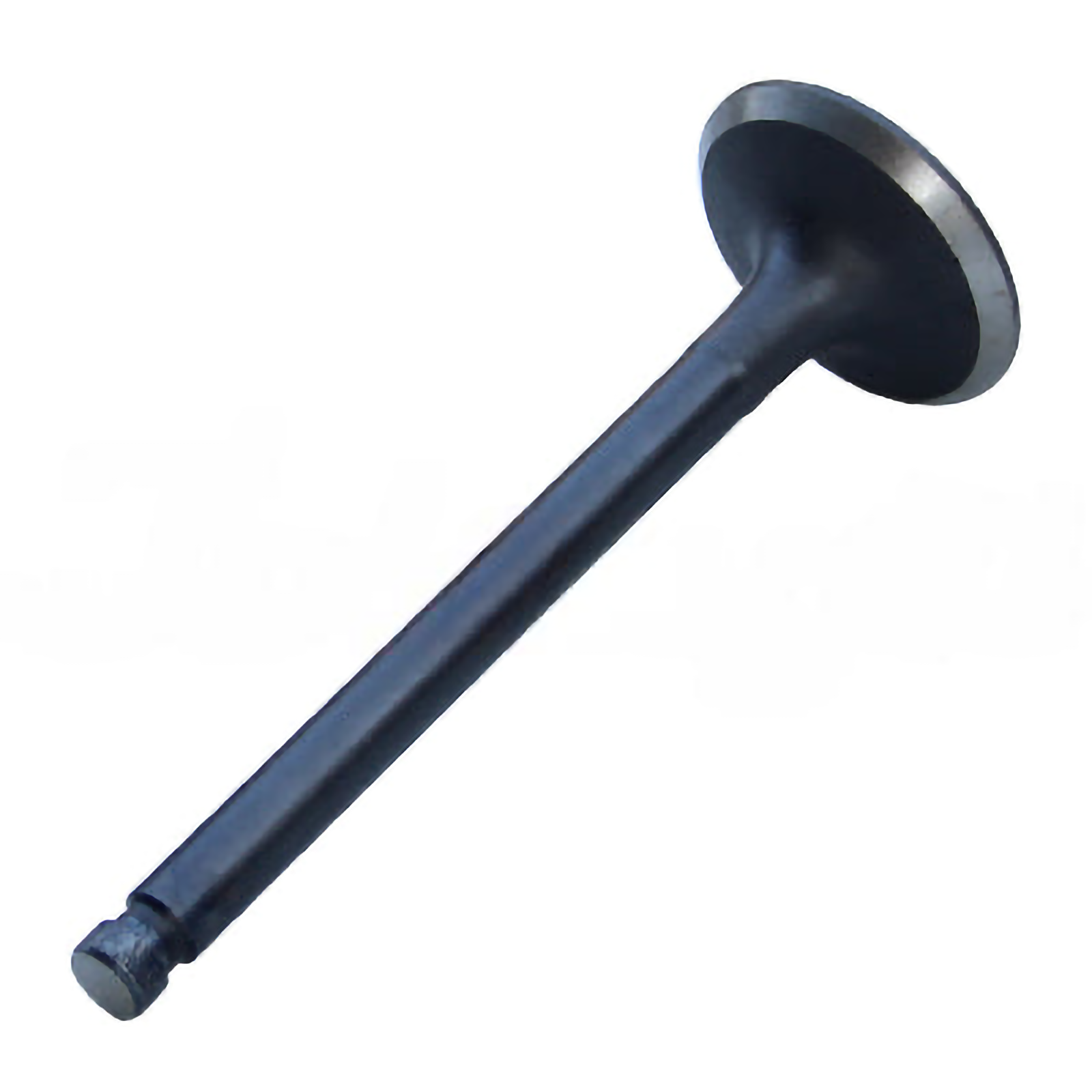 Intake Valve - Intake & Exhaust Valves | 13711-76007-71