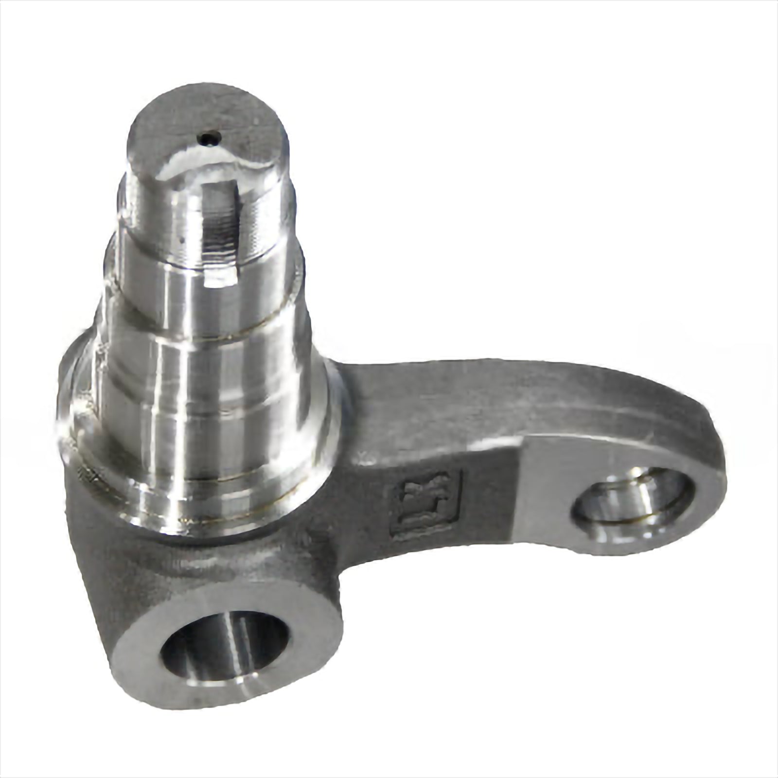 Knuckle - Knuckle & King Pin Kit | N163-220025-001