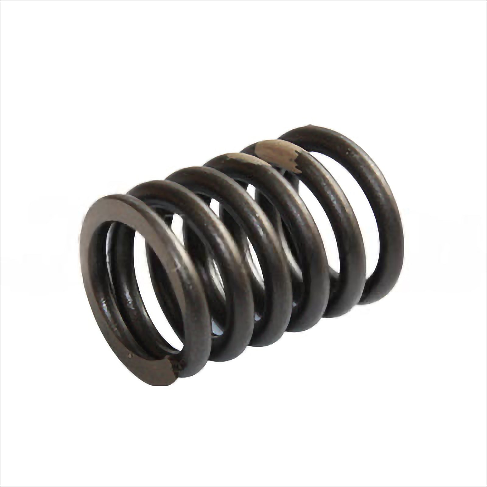 Valve Spring (Outside) - Valves | 90501-40950-71