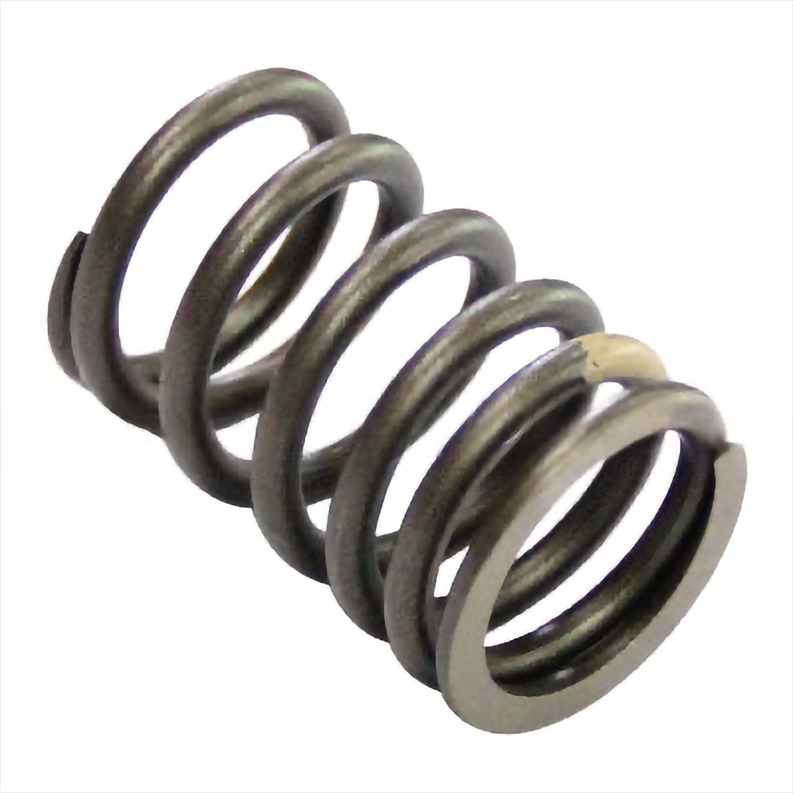 Valve Spring (Outside) - Valves | 129900-11120