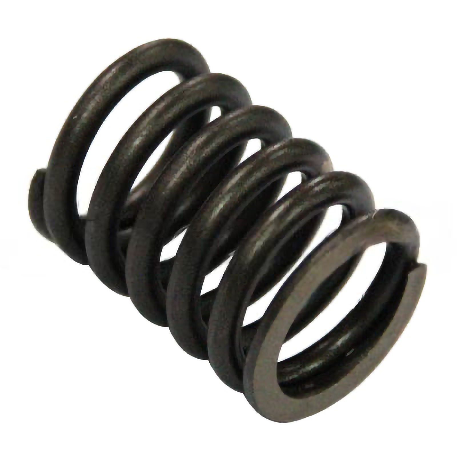 Valve Spring (Outside) - Valves | 80501-76141-71
